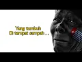 Download Lagu Petrus-Nuboba_Tanah Yang Penuh Misteri^🎵@kakibaabu_kbu9844#lagupopterbaru2022