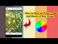 How to Find out Color Name Codes of Any Color on Android