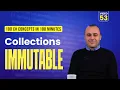 53 C Immutable Collections