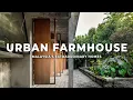 Download Lagu Di Dalam Rumah Taman Tropis Seorang Arsitek | Pertanian Perkotaan | Ide Arsitektur