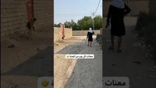 ركض ورا الكلب 