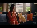 Introducing the Concora Credit Mastercard with Breathing Room Flushed CTV Commercial