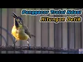 Download Lagu HITUNGAN DETIK SOGONMU LANGSUNG IKUTAN NEMBAK‼️PANCINGAN PENGGACOR SOGON IJOAN TROTOL METALIK