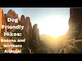 Five Dog Friendly Hikes in Sedona Arizona Region