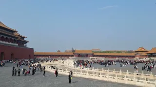                                                 دندنها