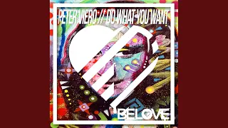 do what you want original mix 