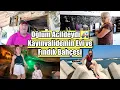 Download Lagu My Son Was in the Emergency Room 🚑 My Mother-in-Law's House Tour! Hazelnut Field, Cave Adventure,...