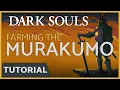 Dark Souls - Farming the Murakumo