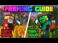 The ONLY Farming Progression Guide You ll Ever Need Hypixel Skyblock