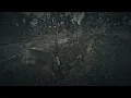 Red Dead Redemption 2 Stranger 08 William Golden Currant