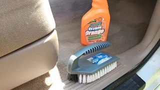 toughest brush at family dollar store one of the best cleaning brushes on the planet