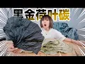 Download Lagu 非遗秘方？1000℃猛火把荷叶烘成一整张黑金碳纸！ | Lotus leaf
