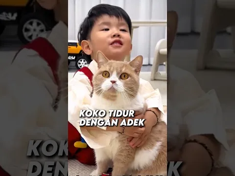 Koko nyuruh babu selimutin adik #shorts #kucing
