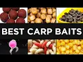 20 Carp Baits Where and How to Use Them