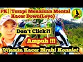 Download Lagu PK||AMPUH!!TERAPI MENAIKAN MENTAL KACER DOWN(LOYO) #kacermania #kacernyengklak #kacertarungbirahi