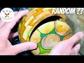 Download Lagu Woodturning - What Happens with RANDOM Hazelnut Slices ?
