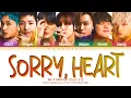 엔시티 드림 쏘리하트 가사 NCT DREAM Sorry Heart Lyrics | Color Coded | Han/Rom/Eng
