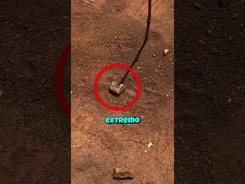 Brújula hecha con un palo 🧭