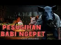 Download Lagu BALAS DENDAM AKIBAT MISKIN PESUGIHAN BABI NGEPET CERITA HOROR PART 3