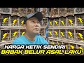 Lagu OBRAL ASAL LAKU ! SISA 510 EKOR BURUNG OMBYOKAN DIJUAL ASAL LAKU HARI INI DIKIOS MANTO PB PRAMUKA