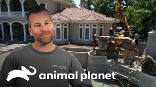 Lucas Busca las Rocas Perfectas para su Piscina | Piscinas Increíbles | Animal Planet Latinoamérica