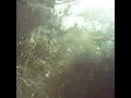 Youth - 지지
