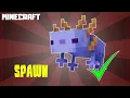 MINECRAFT How to Spawn Rare Blue Axolotl