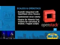 EMC - Using ScaleIO in an OpenStack Environment