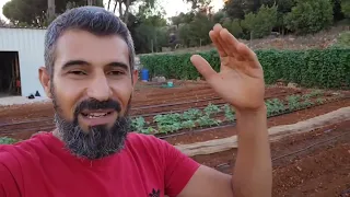 مروان منصور أسرار الزراعة إدعم القناة للإستفادة دائما 