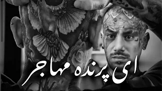 امیر تتلو ای پرنده مهاجر Amir Tataloo Ey Parande Mohajer 