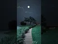 Download Lagu menikmati malam bulan purnama yang indah di pinggiran sungai desa