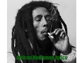 African Herbsman Bob Marley and The Wailers Reggae Masters