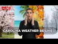 Myrtle Beach Weather LIVE Wild Swings Storm Alerts Coastal Forecast You Can Actually Use