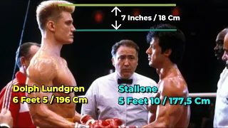 Stallone HEIGHT Sly Compared to Lundgren Schwarzenegger Carl Weathers Statham Tyson Russel