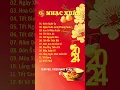 Lagu Nhạc Xuân 2024: Đường Về Nhà - Nhạc Xuân và Tết Bình An 🌺 Nhịp Xuân Sang