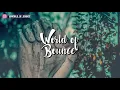 Galwaro X LIZOT X Gabry Ponte - Like A Prayer
