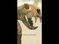 What happened to fossils found under the D-Line in L A
