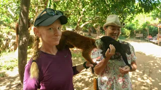 Queen Lemur On Nosy Komba – Ep. 144