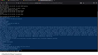Episode 6 All about Environment Shell Variables in Linux