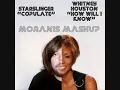 STAR SLINGER VS. WHITNEY HOUSTON "HOW WILL I COPULATE"