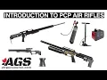 What Are PCP Air Rifles