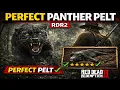 Perfect Panther Pelt Location in RDR2 Guaranteed Spawn