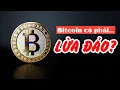 Download Lagu Sự thật Bitcoin là TIỀN hay mô hình lừa đảo?