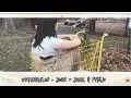 Download Lagu Watermelon by John + Jane. Q Public Lyric Video