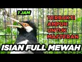 Download Lagu SUARA JALAK SUREN GACOR FULL ISIAN MEWAH untuk MASTERAN JALAK AGAR CEPAT GACOR JUARA