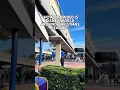 Disney World Holiday Crowds