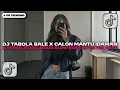 Download Lagu DJ TABOLA BALE X CALON MANTU IDAMAN X PEPAS JEDAG JEDUG SLOW FULL SONG DJ Vel Bass
