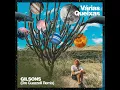 Várias Queixas (feat. Gilsons) [Dre Guazzelli Remix]