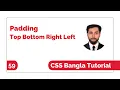 CSS3 Padding Bangla Tutorial Padding Top Bottom Right Left Css Bangla Tutorial