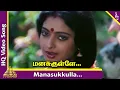 Download Lagu Manasukkulla Nayana Video Song | Mallu Vetti Minor Tamil Movie Songs | Sathyaraj | Seetha | Shobana